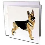 Dogs German Shepherd - German Shepherd - Greeting Cards-12 Greeting Cards with envelopes