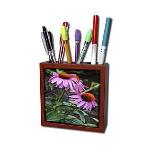 WhiteOak Photography Floral Prints - Coneflowers025 Three Coneflowers - Tile Pen Holders-5 inch tile pen holder
