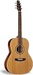 Seagull Coastline S6 Folk Acoustic Guitar