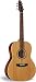 Seagull Coastline S6 Folk Acoustic Guitar