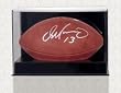 Wall Mounted Football Case