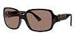 FENDI FS445 207 BROWN PLASTIC SUNGLASSES