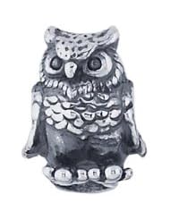 Frolic Sterling Silver Owl Slider Charm