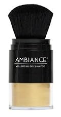 Ambiance Cosmetics Volumizing Dry Shampoo with Brush Applicator (Blonde)