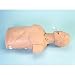 Simulaids Adult Airway Management Trainer Torso Trainer Torso This is Trainer Torso only. * Each * Model # 86