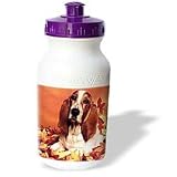 Dogs Basset Hound - Basset Hound - Water Bottles