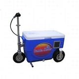 Cruzin Cooler 50-Series 500-Watt Electric Scooter (Blue)