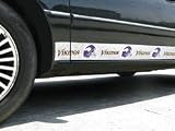 Minnesota Vikings Car Trim Magnets