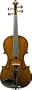 Doreli Model 89 Viola Outfit 15 Inches
