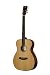 Breedlove Passport Plus OM/CMe, H-H Guitar