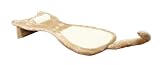 TRIXIE Pet Products 43113 - Trixie Cat Scratch Buddy Board 
