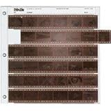 Print File Archival 35mm Size Negative Pages Holds Six Strips of Six Frames, Pack of 25