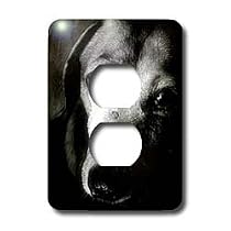 Dogs Dachshund - Black Dachshund Portrait - Light Switch Covers - 2 plug outlet cover