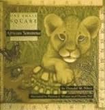 African Savanna (One Small Square)