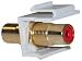 RCA Keystone Insert, Female / Female Coupler, White (Red RCA)
