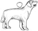 Labrador Retriever Sterling Silver Charm