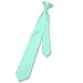 Vesuvio Napoli Boy's CLIP-ON NeckTie Solid AQUA GREEN Color Youth Neck Tie