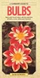 A gardener's guide to bulbs