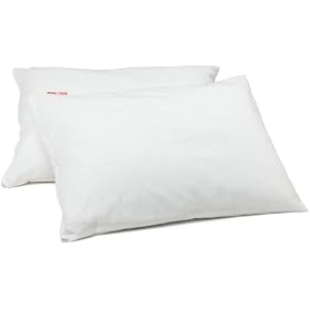 Aller Ease Classic Allergen Barrier Pillow Cover, Set of 2