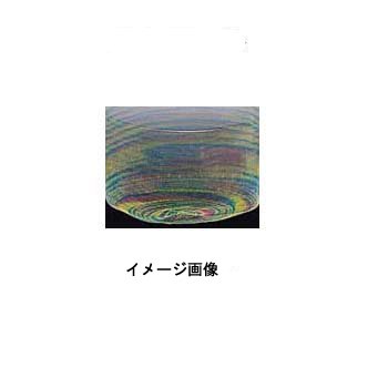 シミズ 鮎替網 25S35 レインボー 35cm 30646351