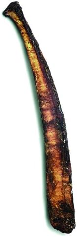 Shrink Wrapped 6" Rib bone- 1 each
