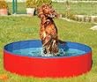 hundeplanschbecken