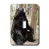 Wild animals - Black Bear - Light Switch Covers - single toggle switch