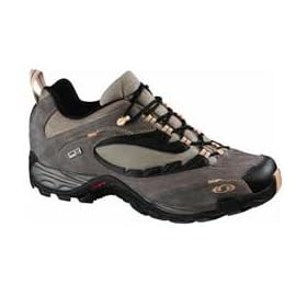 SALOMON Elios GTX Shoe
