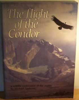 the flight of the condor