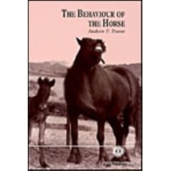The Behaviour of the Horse (Cabi)