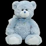 TY Classic Plush - RAINDROPS the Bear