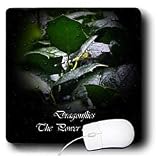 WhiteOak Photography Inspirational Floral Prints - Dragonflies Power of Light Inspirational picture - Mouse Pads