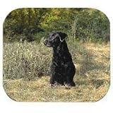 Black Labrador Retriever Full Body Mouse Pad