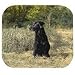 Black Labrador Retriever Full Body Mouse Pad