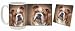 English Bulldog Mug and Coaster Combo (Style 2)