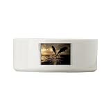 Dog Cat Food Water Bowl Dolphins Flying in Sunset