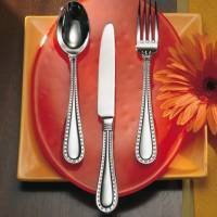 Rivets Satin 5pc Place Setting