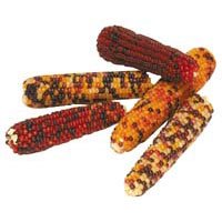 Sun Seed Crunchie Corny Cobbers by Sun Seed