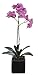 House of Silk Flowers Artificial 17-Inch Phalaenopsis Orchid, Mini, Lavender