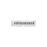 KORG K61P