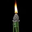 Afterglow Pine Cone Bottle Wick