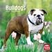 bulldog8 - Bulldogs 2010 Wall Calendar