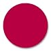 Nugenesis Dip Powder Starter kit NU 70 Raspberry Beret