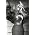 Thumbnail image of Beyonce