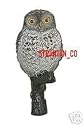 DECOY LITTLE OWL ACTUAL SIZE