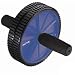Dual Exercise Wheel