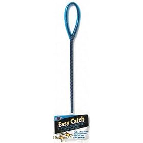Blue Ribbon 2 Inch Nets-White Fine Mesh by Blue Ribbon