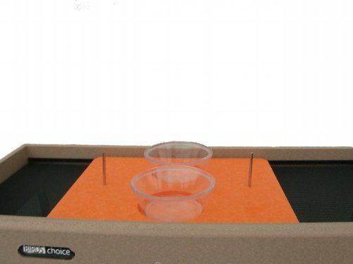 Birds Choice Jelly Tray Feeder