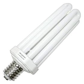 Lights of America 92100B Compact Fluorescent Bulb