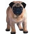 XL Pug Magnet Paper House Production